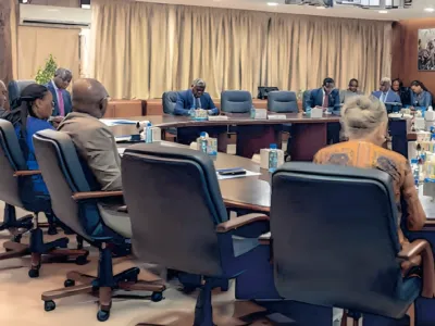 Comité stratégique chargé du suivi des projets intégrés de transformation locale de minerais