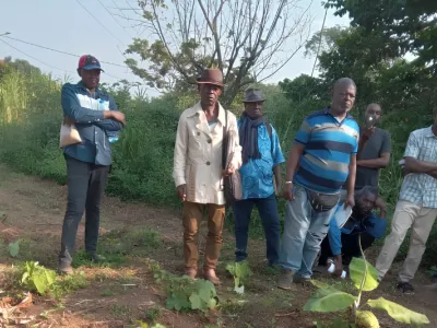 Formation en agriculture et élevage biologique pour les populations de la Lombo-Bouenguidi