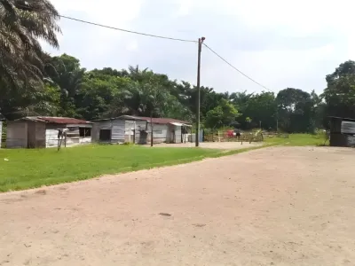 Un pan de Léconi