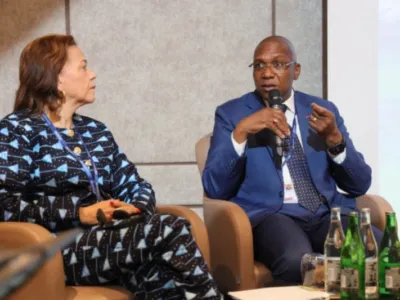 Pr Nkana Ayo-Bivigou, ministre de la santé