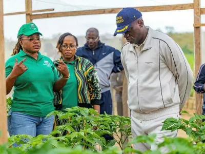 Brice Clotaire Oligui Nguema, président du Gabon, en visite à la ferme de Manfila