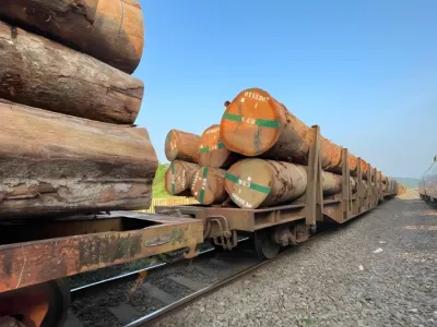 Bois gabonais