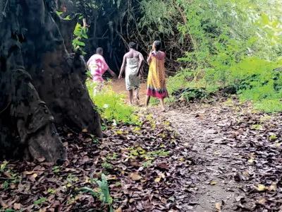 Forêt de Biweni à Lambaréné