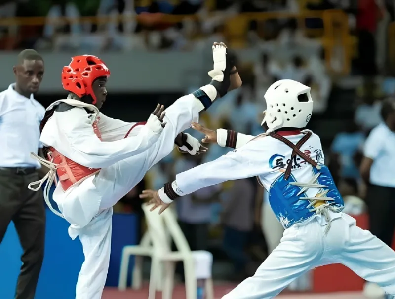  29e édition des baby champion de taekwondo
